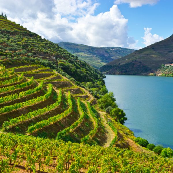 Unspoilt Douro Valley